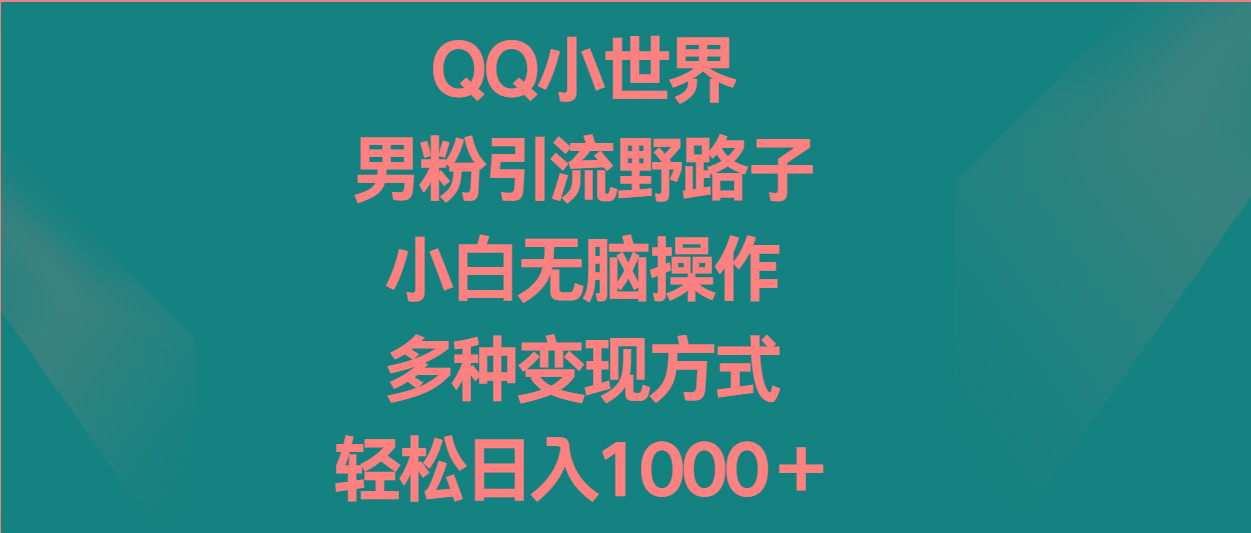 QQ小世界男粉引流野路子，小白无脑操作，多种变现方式轻松日入1000＋-资源宝库