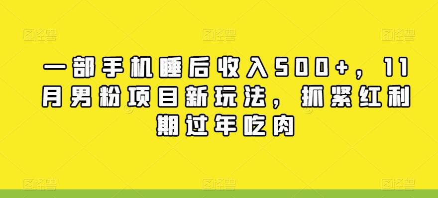 一部手机睡后收入500+，11月男粉项目新玩法，抓紧红利期过年吃肉-资源宝库