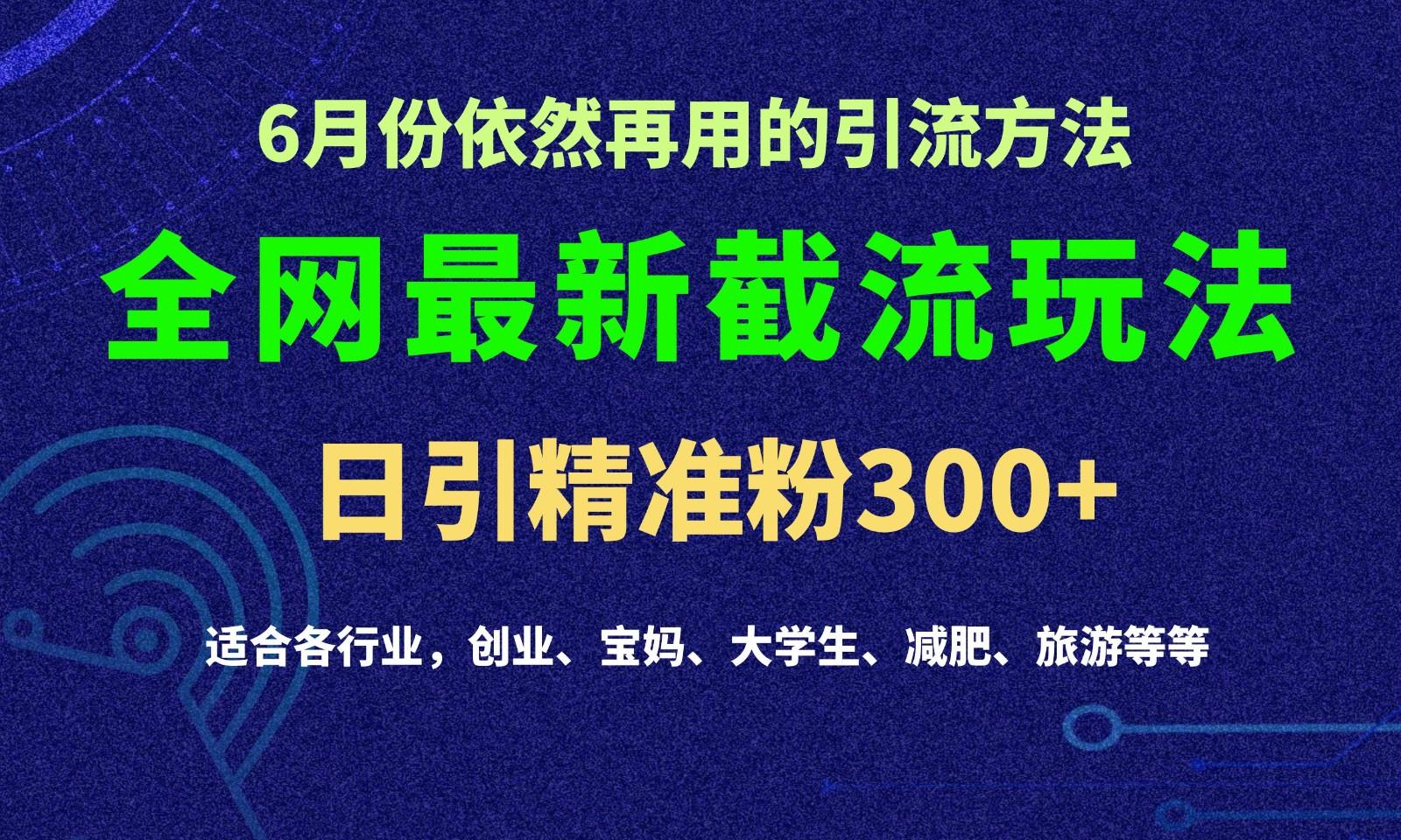 2024全网最新截留玩法,每日引流突破300+-资源宝库