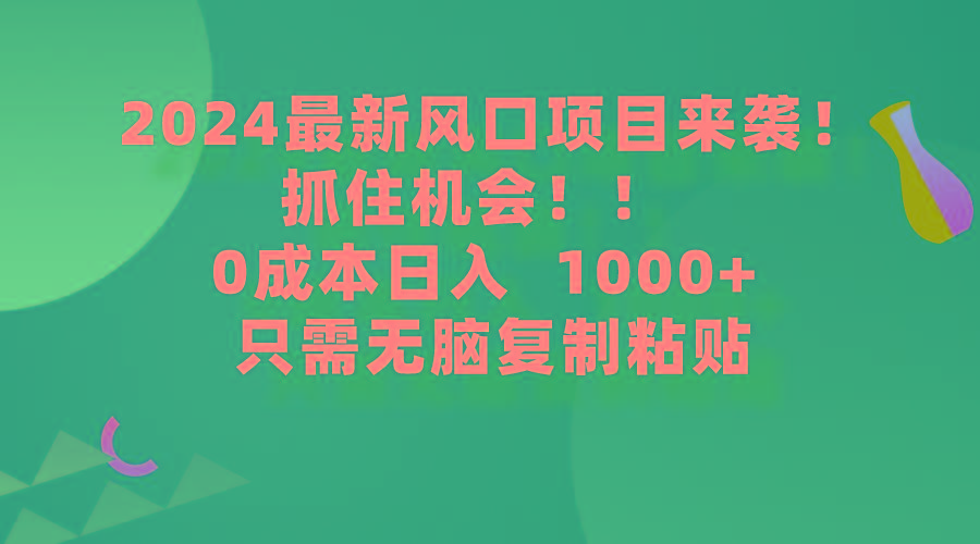 (9899期)2024最新风口项目来袭，抓住机会，0成本一部手机日入1000+，只需无脑复...-资源宝库