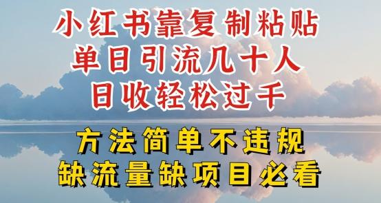 小红书靠复制粘贴单日引流几十人目收轻松过千，方法简单不违规【揭秘】-资源宝库