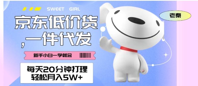 每天20分钟打理京东低价货，一件代发-轻松月入5W＋-资源宝库