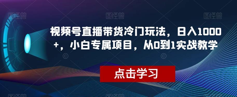 视频号直播带货冷门玩法，日入1000+，小白专属项目，从0到1实战教学【揭秘】-资源宝库
