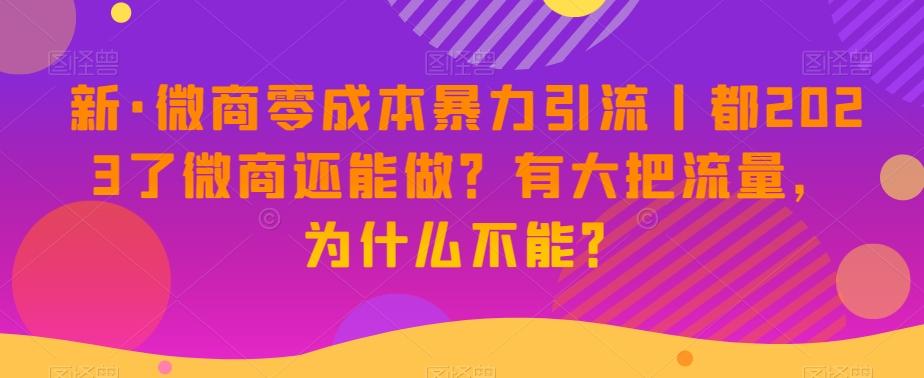 新·微商零成本暴力引流丨都2023了微商还能做？有大把流量，为什么不能？-资源宝库