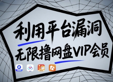 利用平台漏洞，无限撸网盘VIP会员，用户亲测有效!【漏洞原理+操作演示】-资源宝库