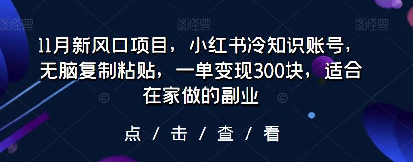 11月新风口项目，小红书冷知识账号，无脑复制粘贴，一单变现300块，适合在家做的副业-资源宝库