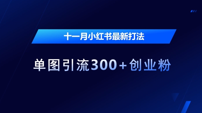 十一月小红书最新打法，单图引流300+创业粉【揭秘】-资源宝库