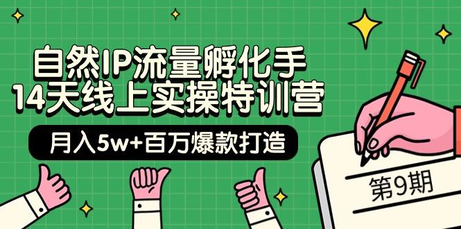 (9881期)自然IP流量孵化手 14天线上实操特训营【第9期】月入5w+百万爆款打造 (74节)-资源宝库