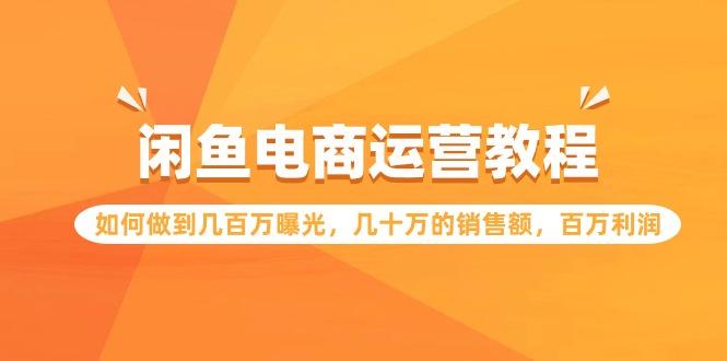 (9560期)闲鱼电商运营教程：如何做到几百万曝光，几十万的销售额，百万利润-资源宝库