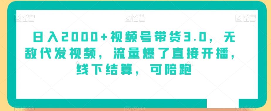 日入2000+视频号带货3.0，无敌代发视频，流量爆了直接开播，线下结算，可陪跑-资源宝库