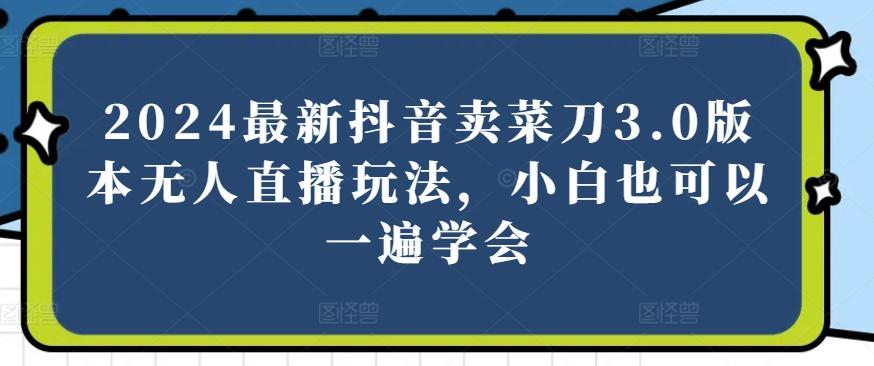 2024最新抖音卖菜刀3.0版本无人直播玩法，小白也可以一遍学会【揭秘】-资源宝库