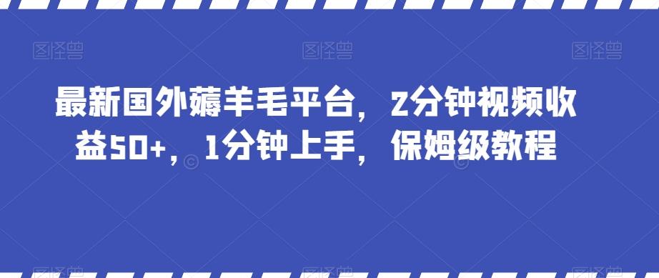 最新国外薅羊毛平台，2分钟视频收益50+，1分钟上手，保姆级教程【揭秘】-资源宝库