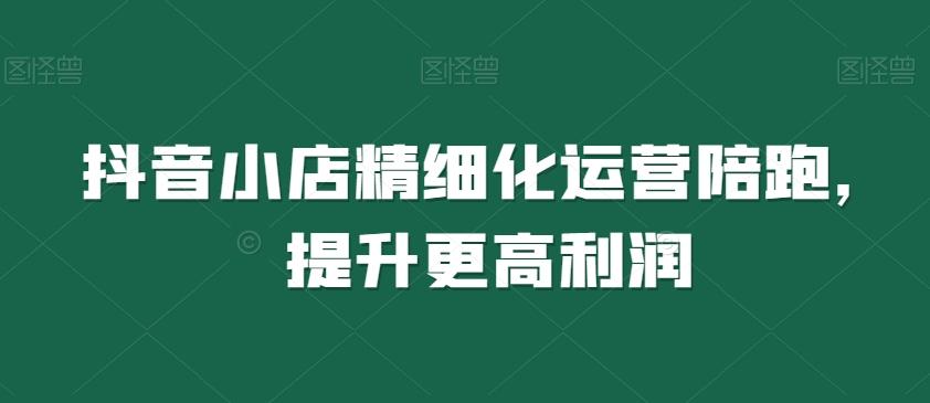 抖音小店精细化运营陪跑，提升更高利润-资源宝库