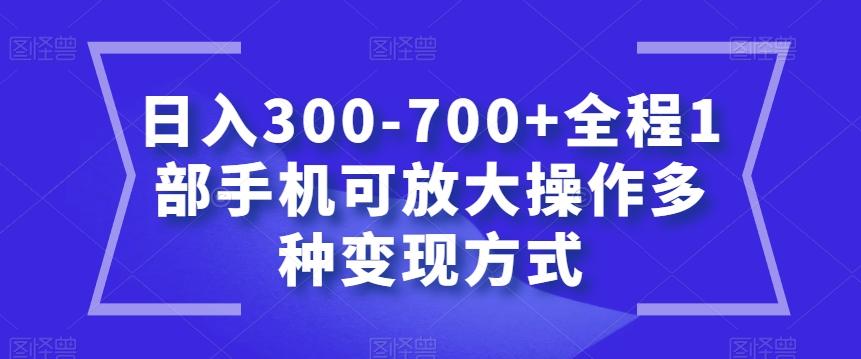 日入300-700+全程1部手机可放大操作多种变现方式【揭秘】-资源宝库