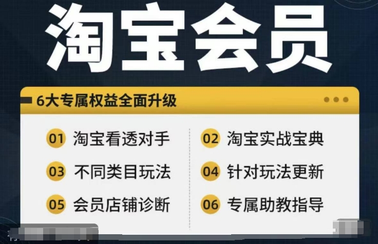淘宝会员【淘宝所有课程，全面分析对手】，初级到高手全系实战宝典-资源宝库
