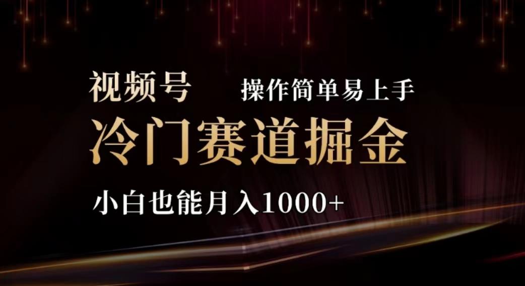 2024视频号冷门赛道掘金，操作简单轻松上手，小白也能月入1000+-资源宝库