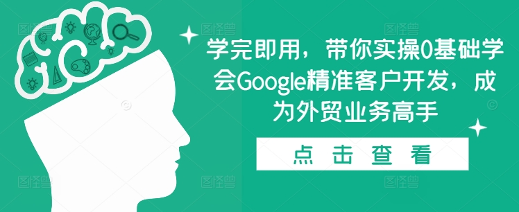 学完即用,带你实操0基础学会Google精准客户开发,成为外贸业务高手
