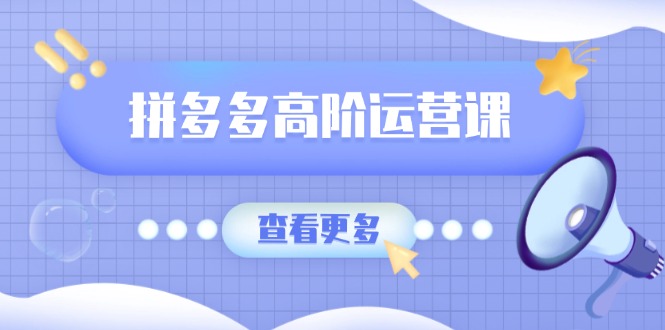 拼多多高阶运营课：极致群爆款玩法，轻付费无尽复制，打造单品爆款之路-资源宝库