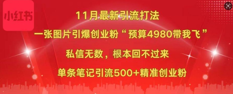 小红书11月最新图片打粉，一张图片引爆创业粉，“预算4980带我飞”，单条引流500+精准创业粉-资源宝库