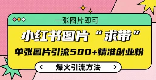 小红书图片‘求带’爆火引流法，单张图片引流500+精准创业粉【揭秘】-资源宝库