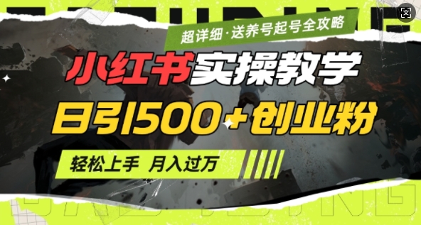 2月小红书最新日引500+创业粉实操教学【超详细】小白轻松上手，月入1W+，附小红书养号起号SOP-资源宝库