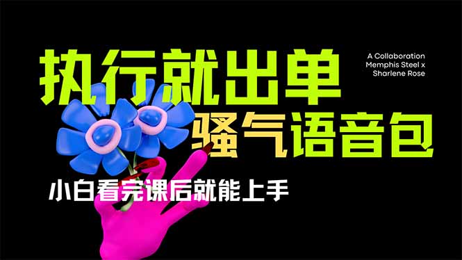 爆火全网的开车导航骚气语音包,只要执行就出单，小白看完课程就能实操...-资源宝库