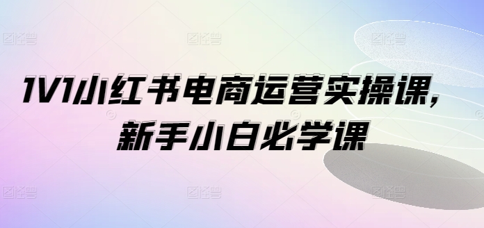 1V1小红书电商运营实操课，新手小白必学课-资源宝库