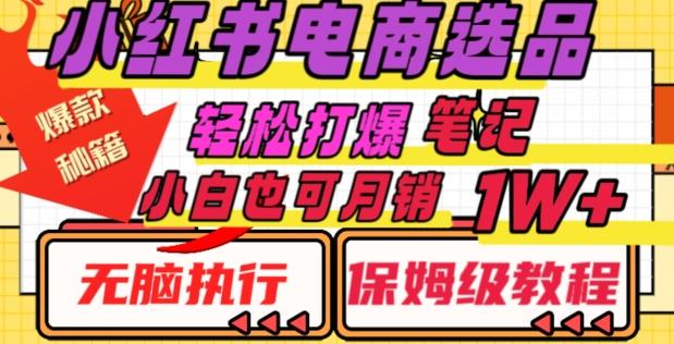 小红书电商爆款选品秘籍，帮你轻松打爆笔记，小白也可轻松月销10000+-资源宝库