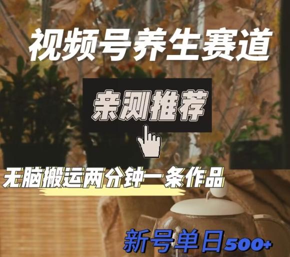 视频号养生赛道暴力掘金，无脑搬运，两分钟一条作品-新日单入500+-资源宝库