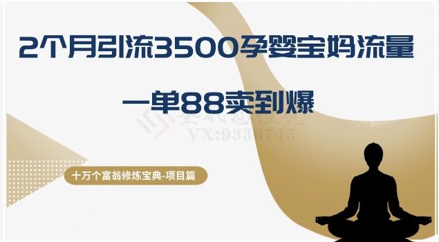 十万个富翁修炼宝典之13.2个月引流3500孕婴宝妈流量，一单88卖到爆-资源宝库